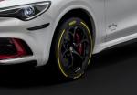 Alfa Romeo Stelvio Quadrifoglio Alfa Romeo Racing 2019 года